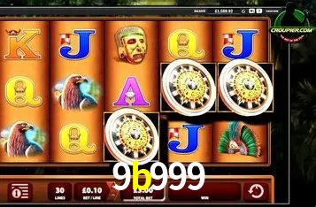 Interface Premium 9b999